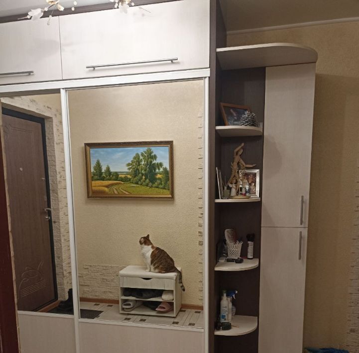 квартира г Набережные Челны р-н Автозаводский ул Татарстан 24 фото 15