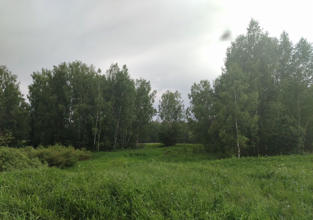 земля р-н Богородский г Богородск дп. Чешские сады, Дубравная ул фото 22