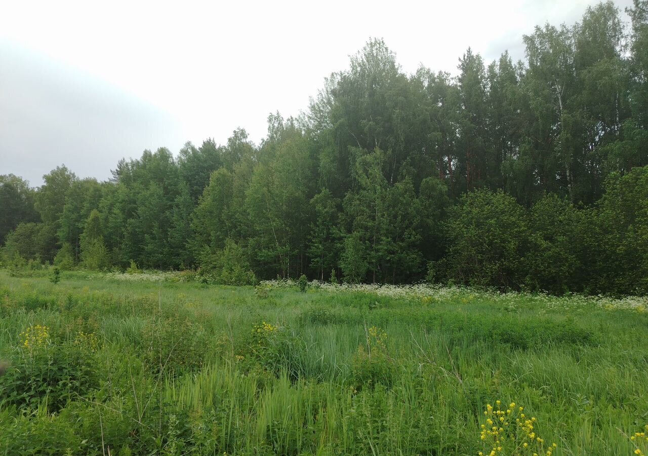 земля р-н Богородский г Богородск дп. Чешские сады, Дубравная ул фото 13