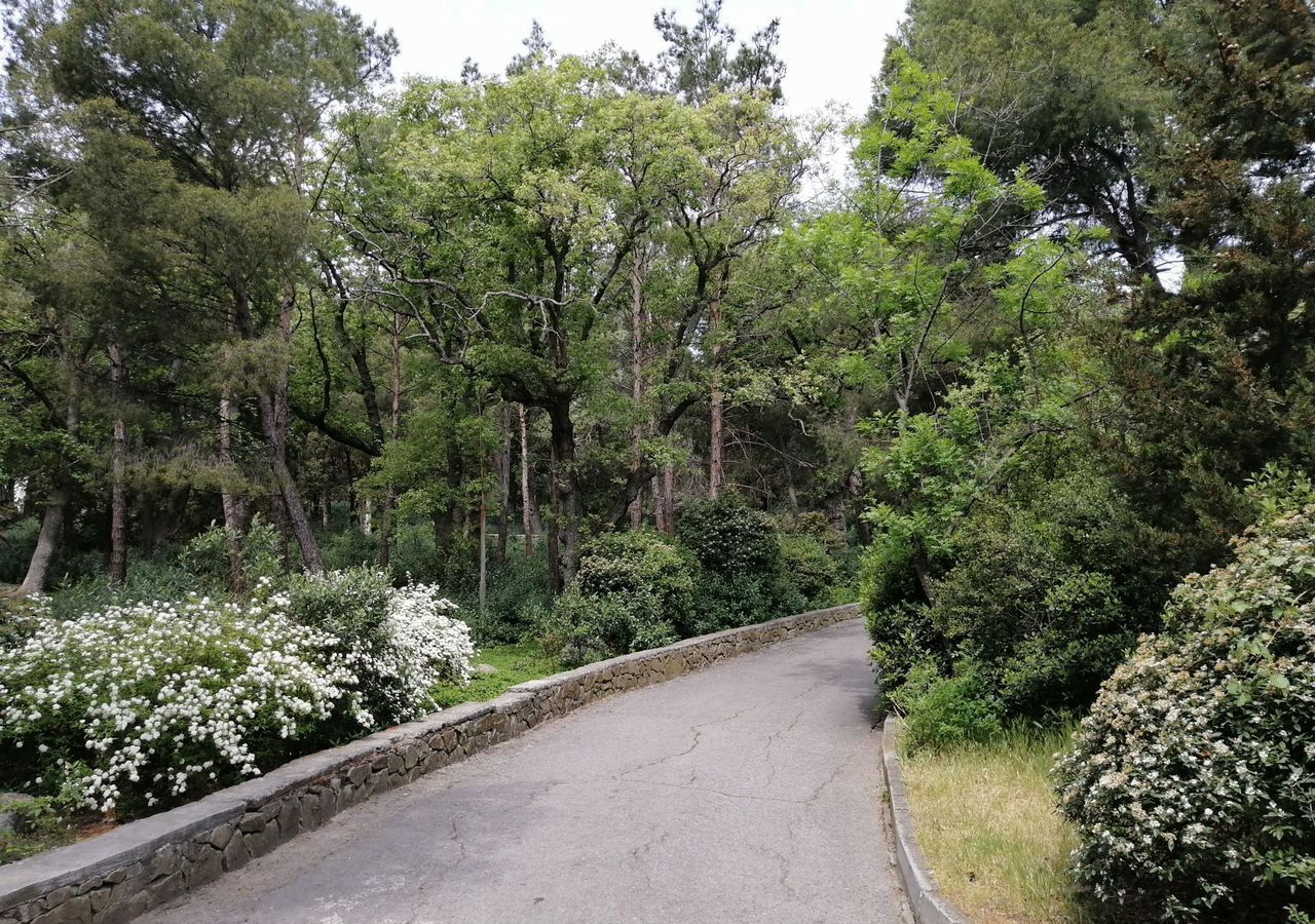 квартира г Ялта пгт Кореиз ш Кореизское 15 г Алупка фото 16