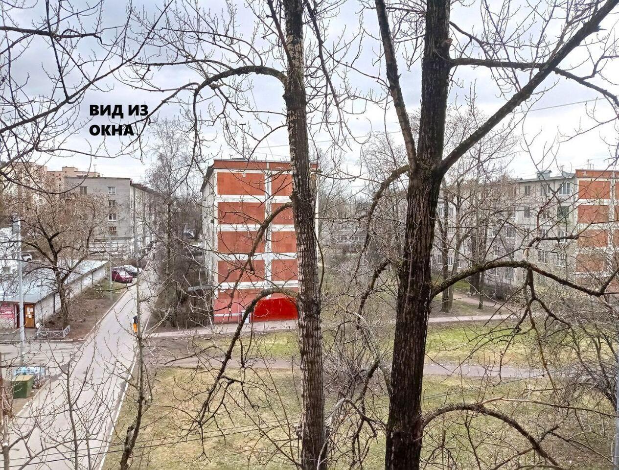 комната г Санкт-Петербург р-н Невский Троицкое поле ул Рабфаковская 3/4 Ленинградская область фото 6