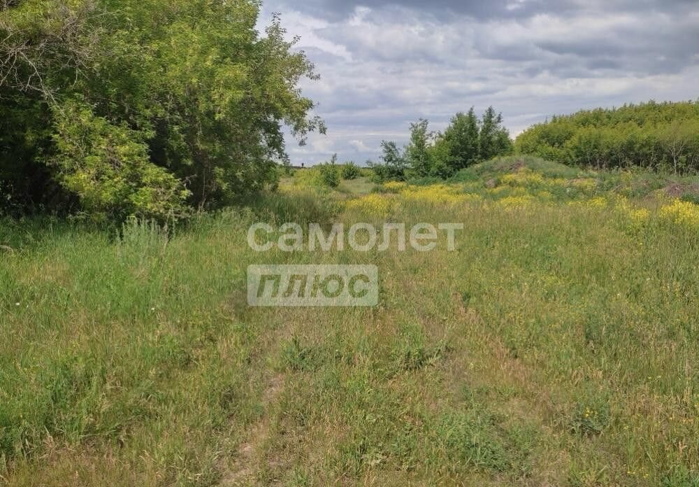 земля г Барнаул п Черницк р-н Центральный Лебяжье фото 1