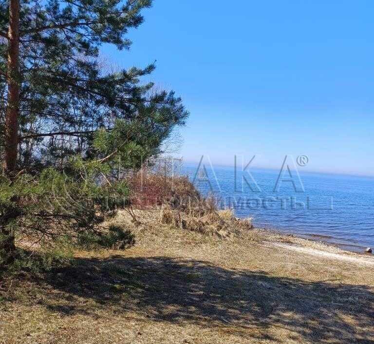 земля р-н Гдовский г Гдов 58К-095 фото 13