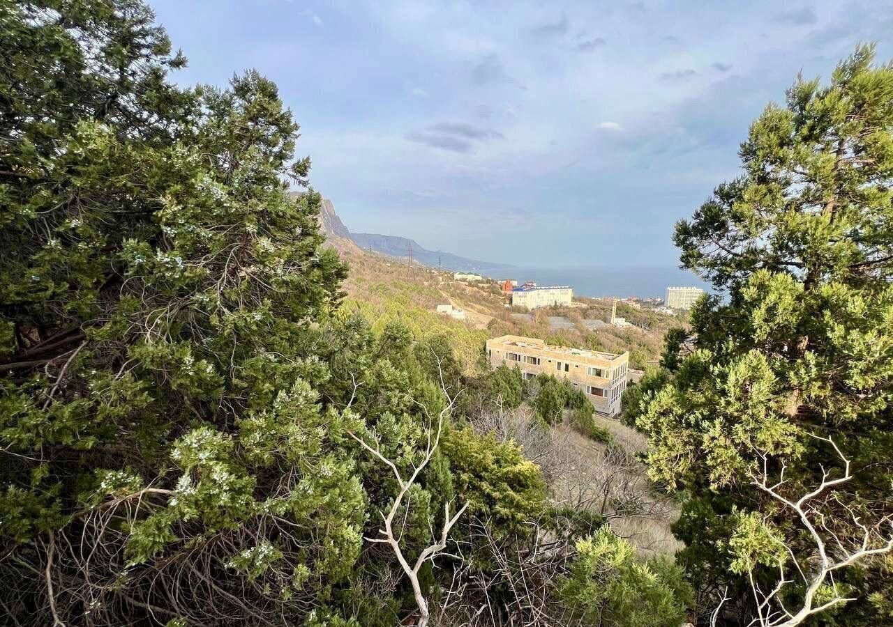земля г Ялта пгт Форос ул Северная 40 г Алупка фото 2