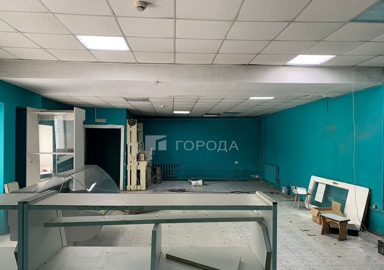 свободного назначения г Новосибирск р-н Дзержинский Золотая Нива ул Коминтерна 40 фото 7