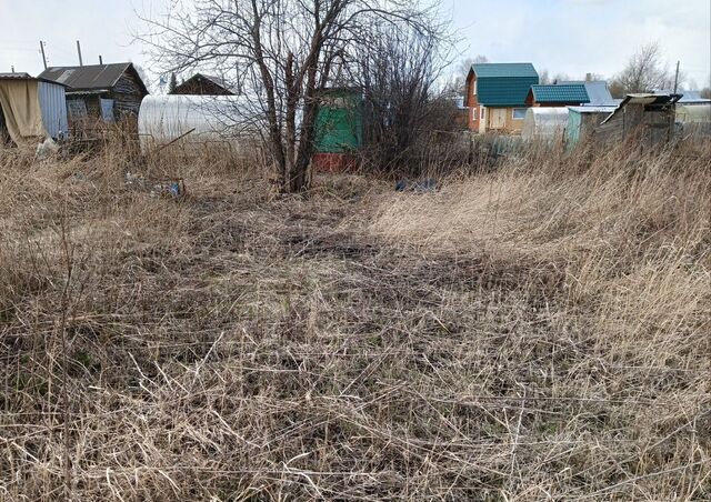 Кемеровская обл. — Кузбасс, садоводческое общество Заря, 58 фото
