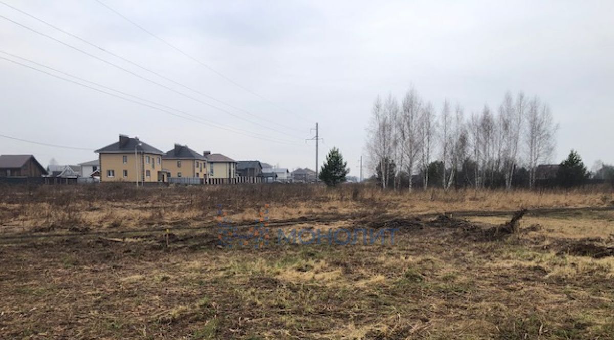 земля г Бор ул Липовая д. Борисовка фото 2