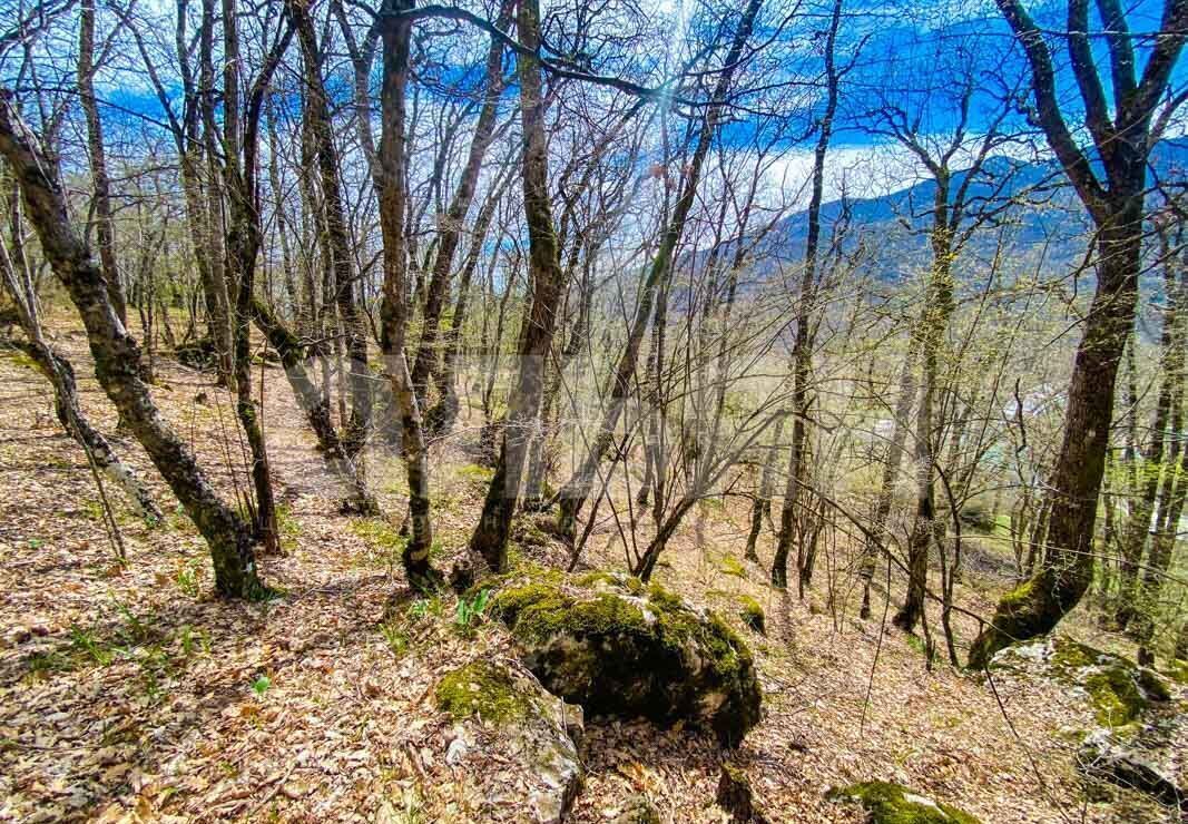 земля г Алушта п Розовый ул Мирная фото 5