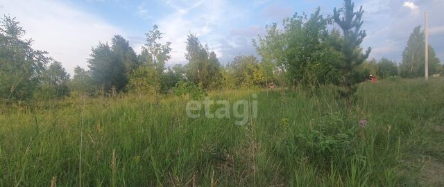 Бердское шоссе, мкр-н Раздольный фото