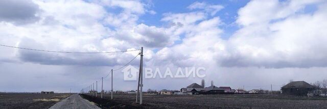 ул Новопокровская фото