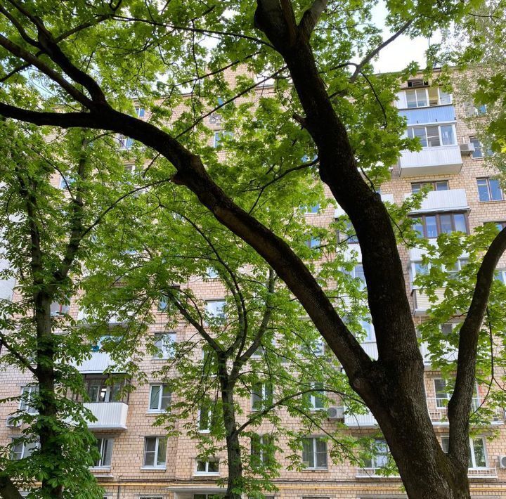 квартира г Москва метро Чистые пруды Бауманка пер Гусятников 9 фото 18