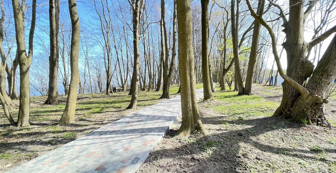 квартира р-н Светлогорский г Светлогорск ул. Дюнная, д. 21, корп. 1 фото 11