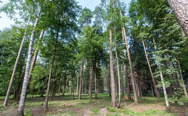 ул Центральная слобода 15 км, Красногорск, Рублёво-Успенское шоссе фото