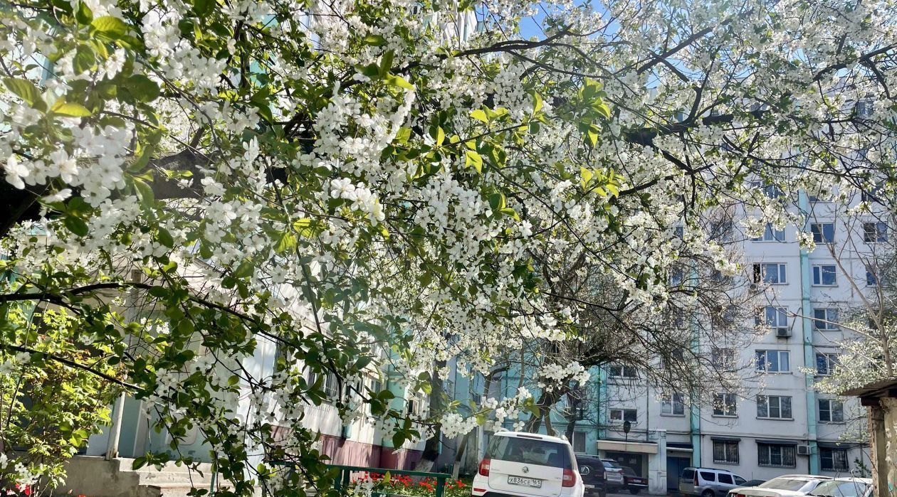 квартира г Ростов-на-Дону р-н Октябрьский Рабочий городок ул Юфимцева 12/1 фото 18