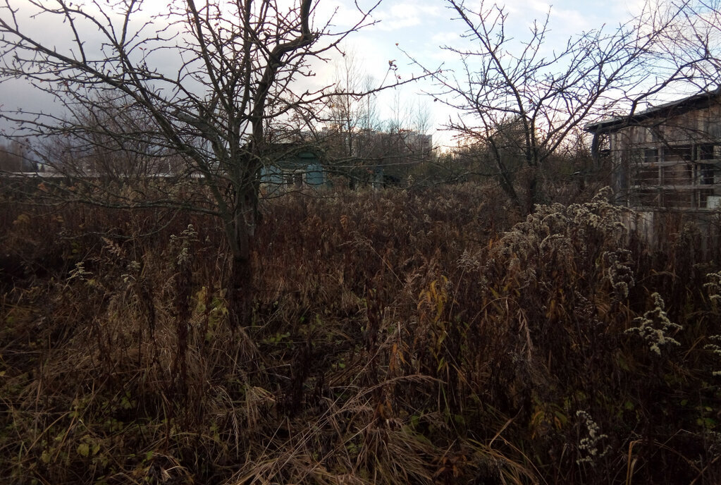 дом городской округ Богородский г Ногинск снт Клубничка фото 8