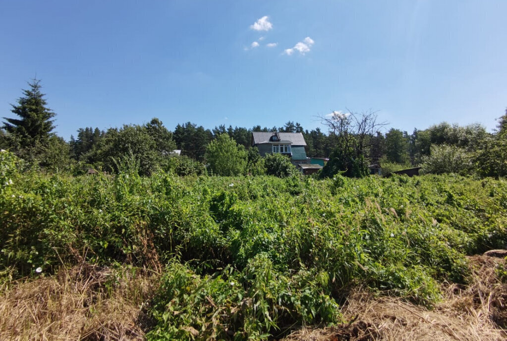 земля городской округ Богородский г Ногинск снт Сирень фото 3