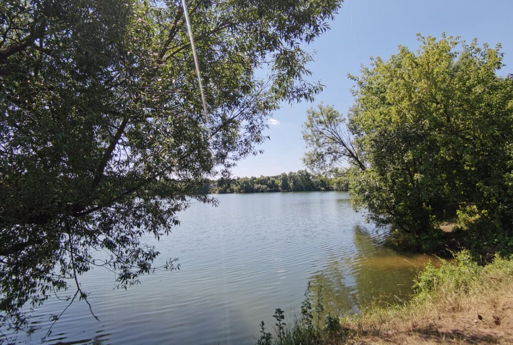 земля городской округ Богородский г Ногинск снт Сирень фото 6