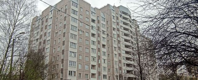 ул Будапештская 17к/3 фото