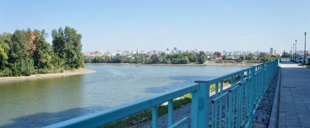 квартира г Новосибирск метро Площадь Гарина-Михайловского ул Междуреченская 5/2 фото 42