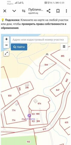 снт Лесовод Южно-Курильск фото