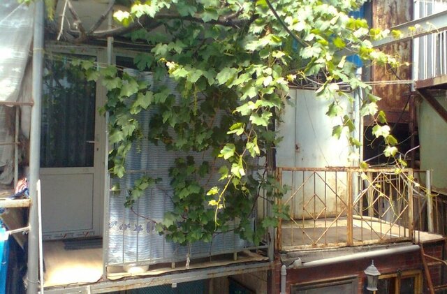 улица Восточная Набережная, 7 фото