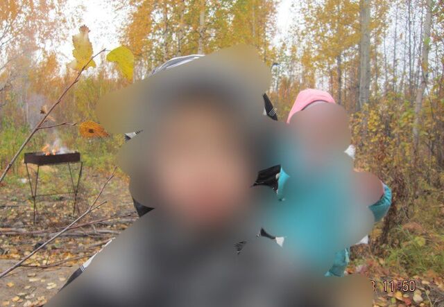 снт Прогресс Тюменская обл., садово-огородническое товарищество фото