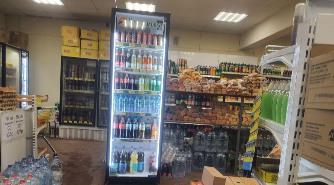 торговое помещение г Самара Безымянка ул Георгия Димитрова 67а фото 10