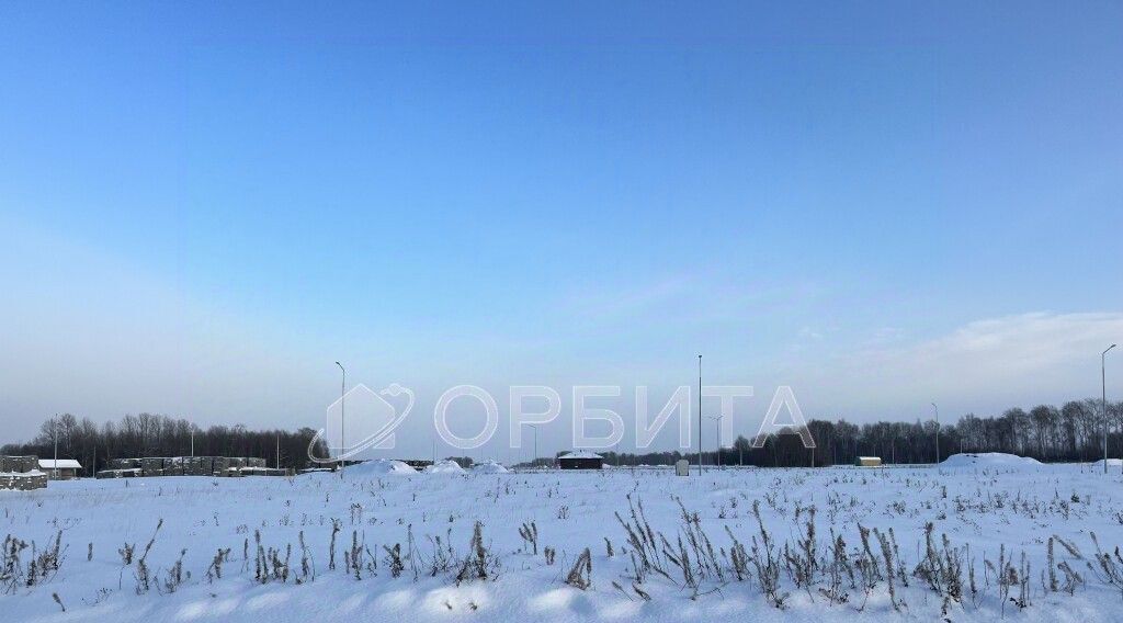 земля г Тюмень р-н Центральный снт Липовый остров фото 1