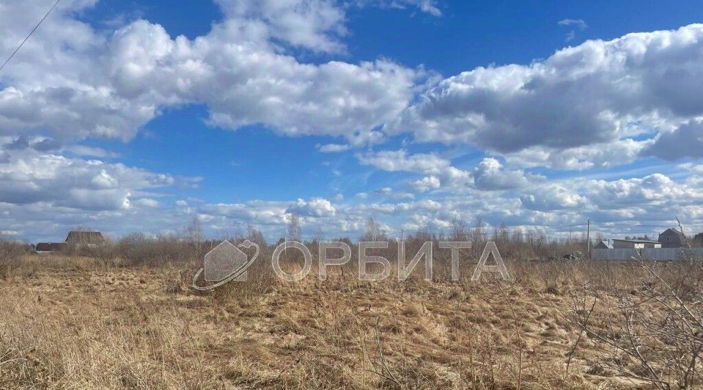 земля г Тюмень р-н Центральный снт Царево ул Радужная фото 8