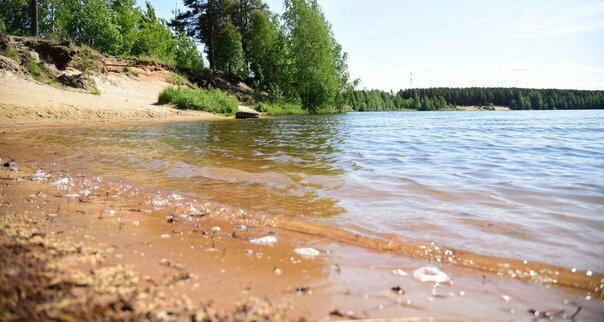земля г Сосновый Бор ул Лесная коттеджный посёлок Медик фото 2