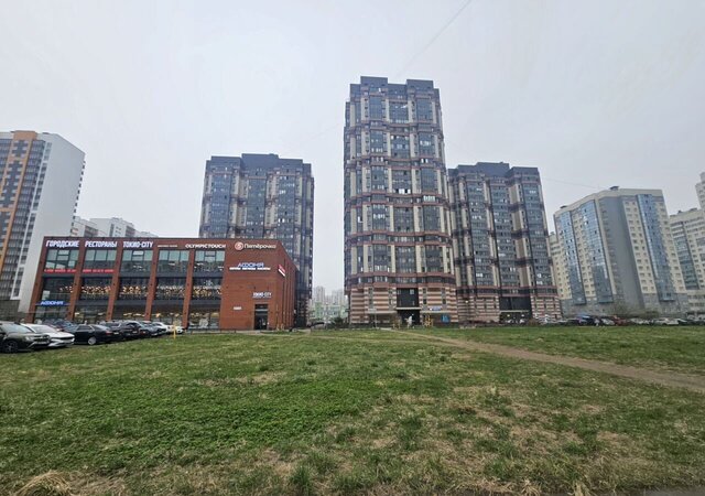 метро Проспект Ветеранов ул Доблести 7к/2 фото