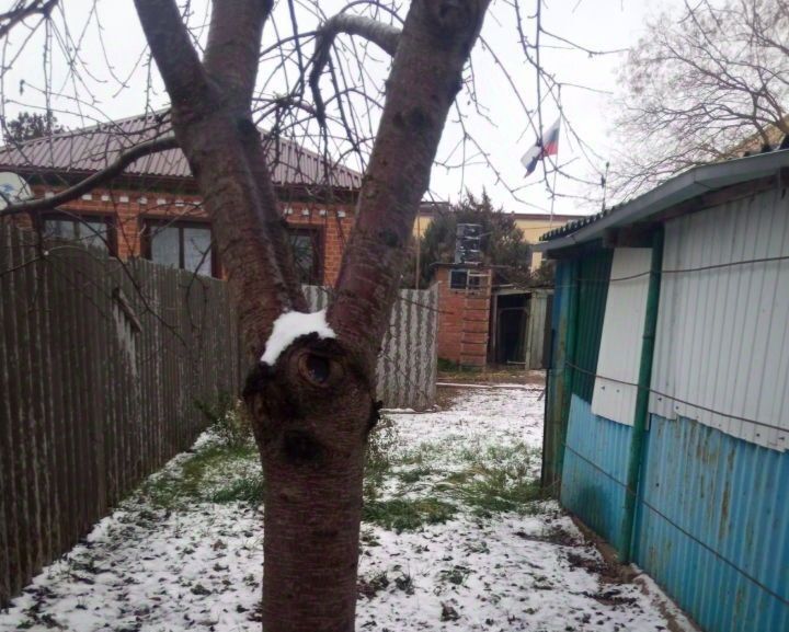 дом р-н Тимашевский г Тимашевск ул Интернациональная 58 фото 8