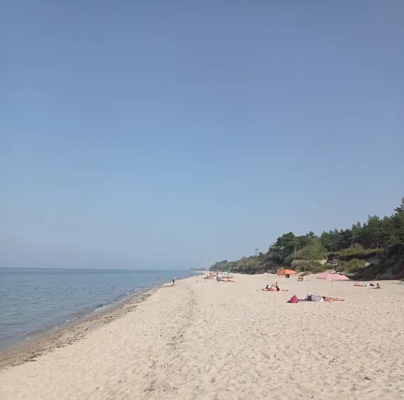 дом р-н Зеленоградский г Зеленоградск п Прибой садоводческое товарищество, ул. Лесная, 12 фото 1