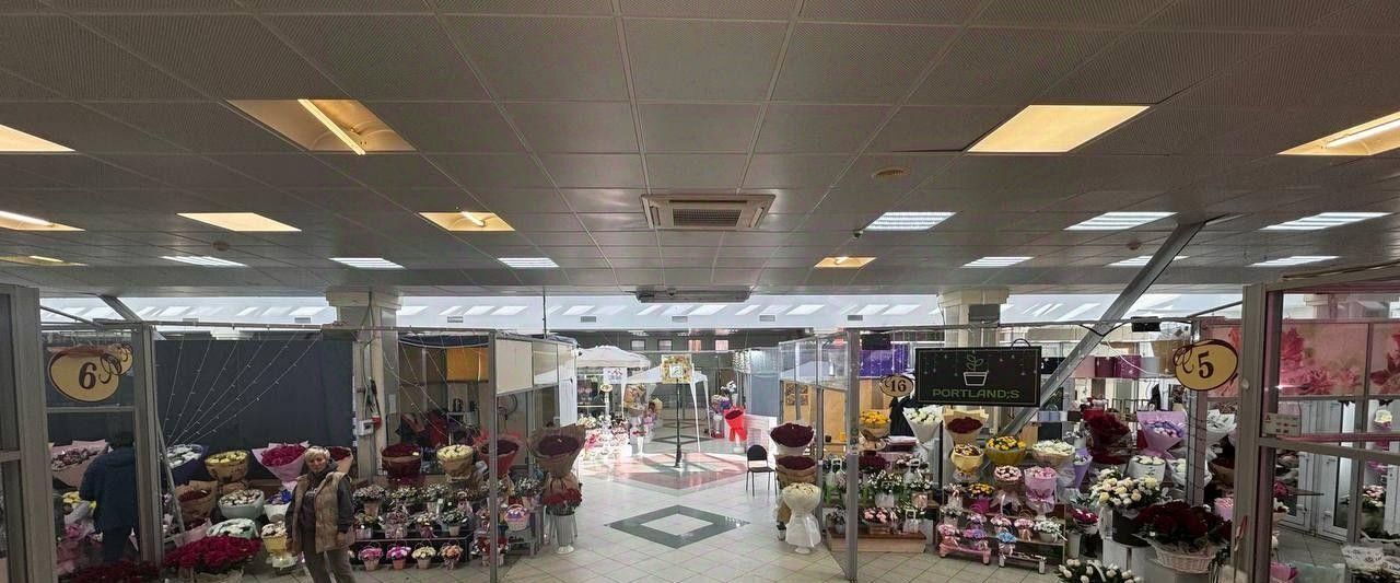 офис г Тольятти р-н Автозаводский ул Революционная 15 фото 1
