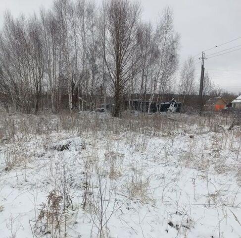 с Криуша ул Центральная Арзамас городской округ фото