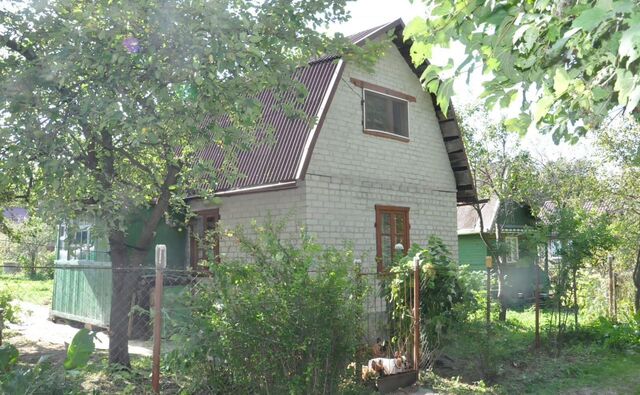 снт Заря 873 фото