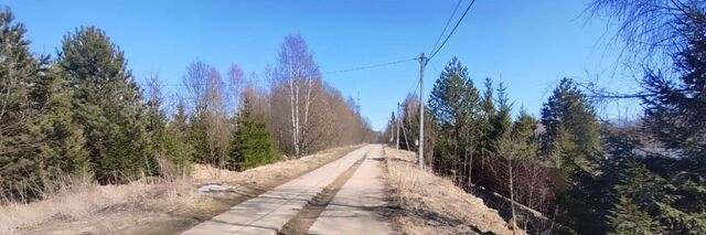 Соловьиная Роща СНТ фото