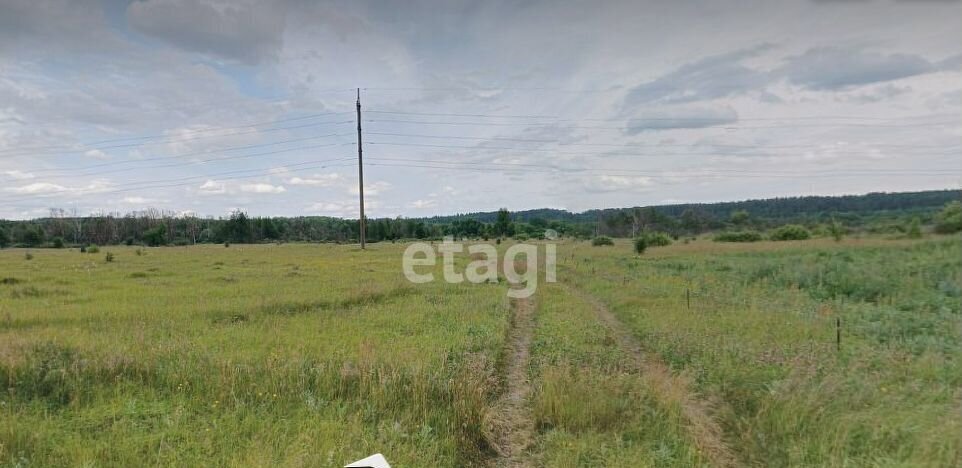 земля р-н Знаменский снт Лесная поляна Котовск фото 1