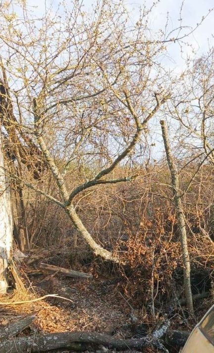 земля г Воронеж р-н Советский снт Память Мичурина ул Мичурина 17 фото 4