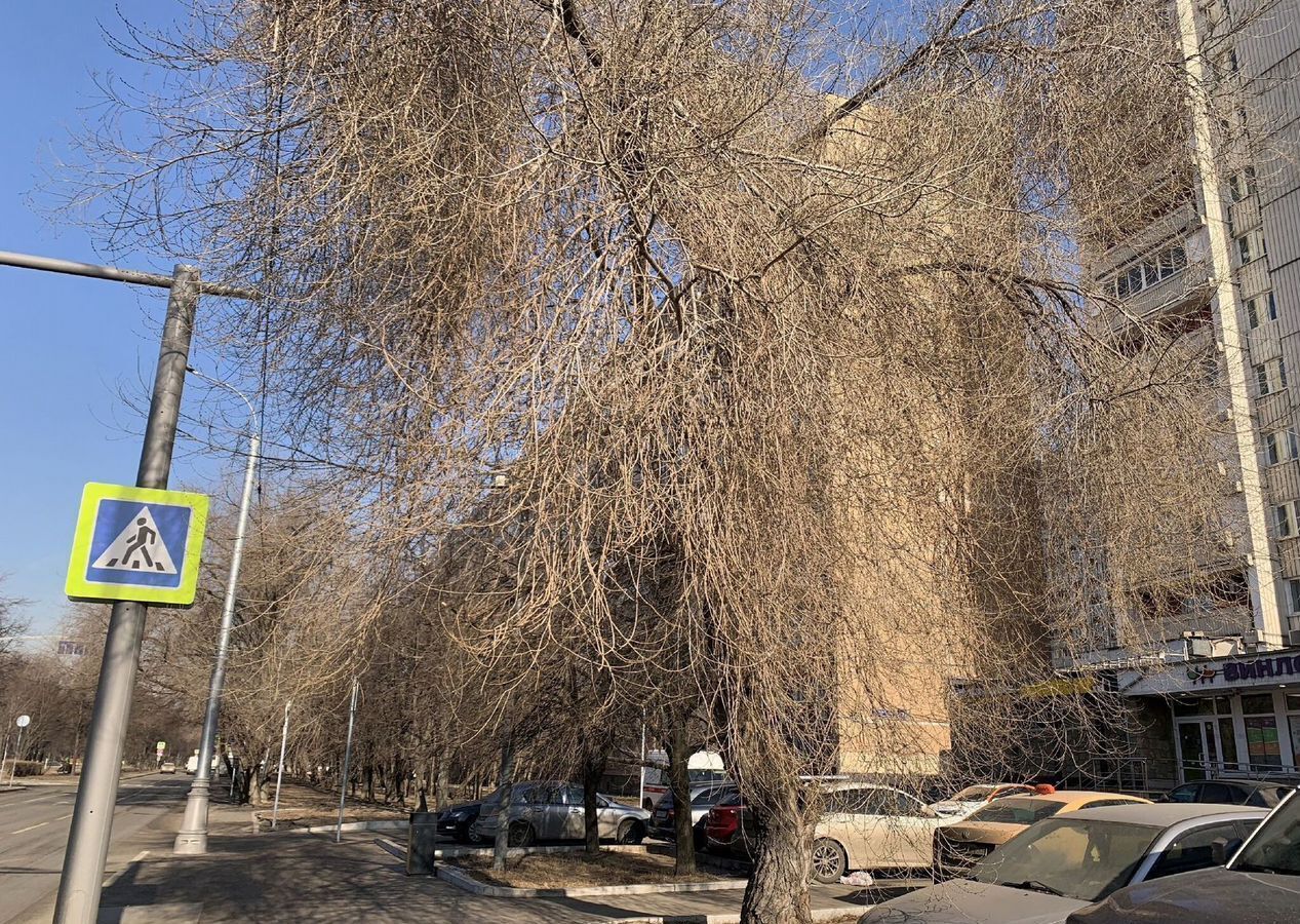 квартира г Москва метро Кузьминки ул Юных Ленинцев 45 фото 16