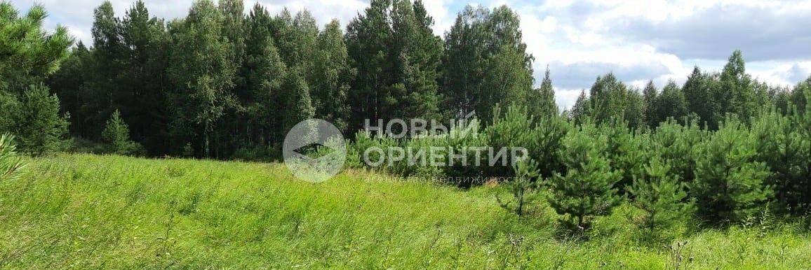 земля г Полевской с Курганово Горный Щит фото 5