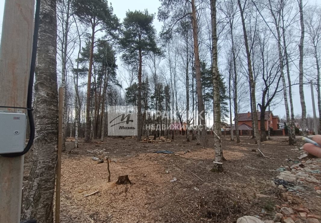 земля городской округ Богородский г Ногинск ул Ясеневая 3 40 км, Горьковское шоссе фото 6
