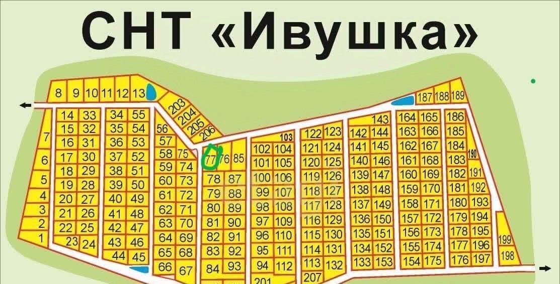 земля г Дзержинск снт Ивушка 47, Богородский муниципальный округ фото 1