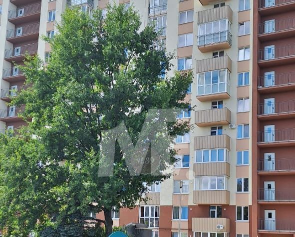 р-н Московский фото