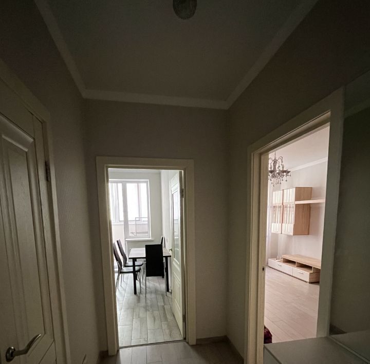 квартира г Краснодар р-н Карасунский ул Трудовой Славы 43 фото 14