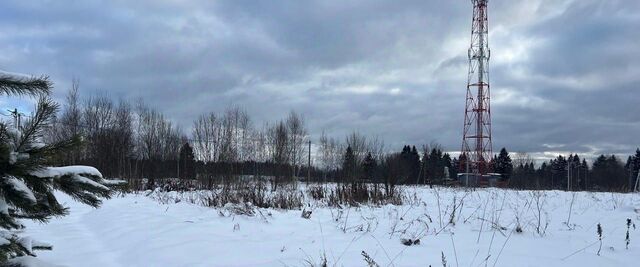 п Хуторки фото
