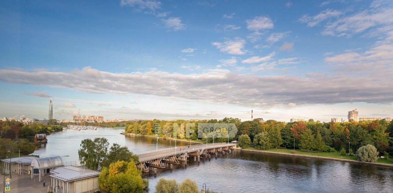 квартира г Санкт-Петербург метро Крестовский Остров ул Динамовская 2 фото 4