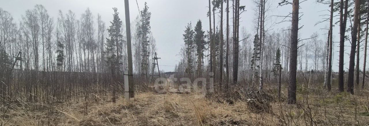 земля г Дегтярск ул Мира 23 фото 11