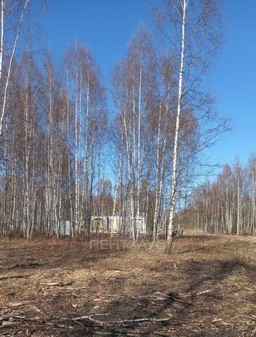р-н Октябрьский ул 3-я Сорокинская фото