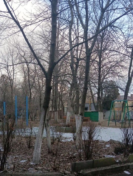 квартира г Кисловодск ул Горького фото 11